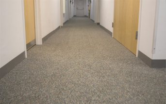 Before & After Carpet
